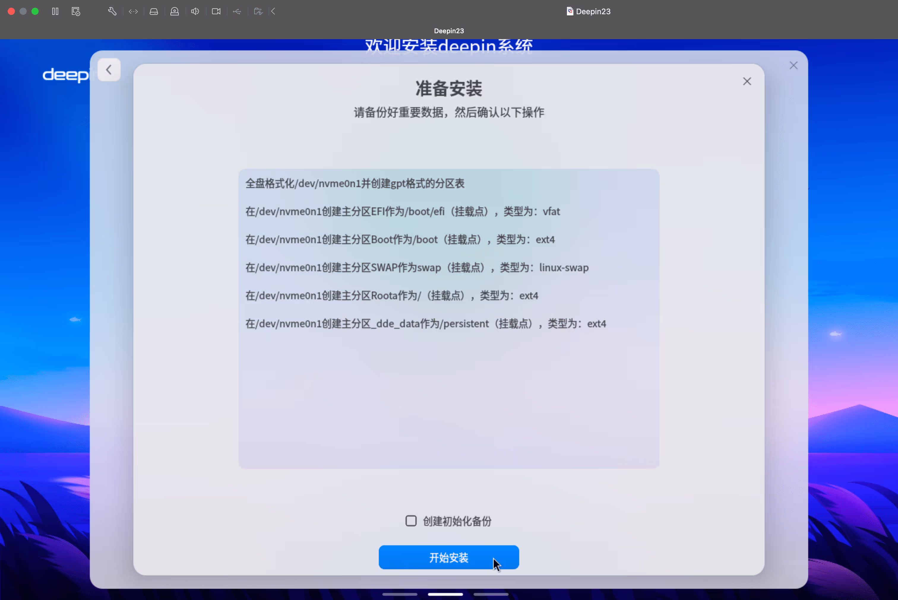 分区并格式化磁盘